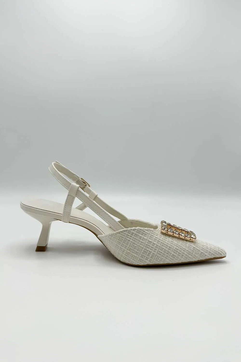 Clarrine Diamante Brooch Detail Pointed Toe Court Shoes in Beige